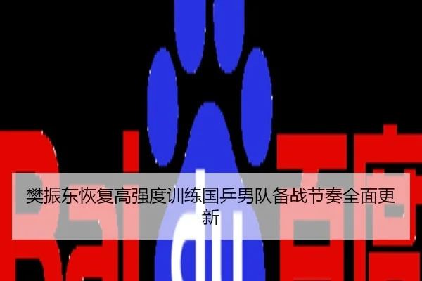 樊振东恢复高强度训练国乒男队备战节奏全面更新
